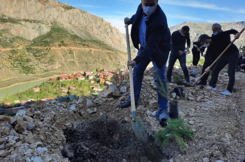 Fidan Dikme Etkinliği